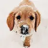 Ly all - @chase._lilhuddy_hudsonfp - TikTok