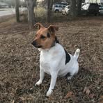 Chase Lyles - Facebook