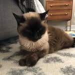 Chase maher - @chase_maher99 - Instagram