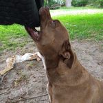 Chase Manley - @uga1071 - Instagram