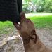 Chase Manley - Facebook