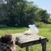 Chase McEvoy - Facebook
