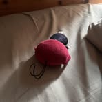 Chase Miller - Facebook