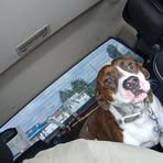 Chase Mitchell - Facebook