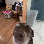 Chase Mitchell - Facebook