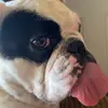 chase - @.chase.morris - TikTok