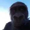 chase - @chasemullenn - TikTok