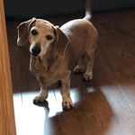 Chase Murphy - @chasemurphy20 - Instagram