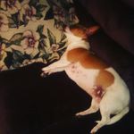 chase murphy - @chase_murphy_yeet - Instagram
