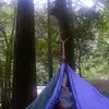 chase newman - @chase.newman98 - TikTok