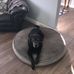 Chase Oliver - Facebook