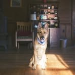 Chase Perry - Facebook