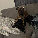 Chase Perry - @chase_perry - Instagram