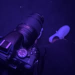 Chase Petty - @pettyphotographyoffical - Instagram