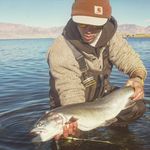 Chase Powell - @ogpigsticker - Instagram