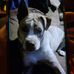 Chase Powell - Facebook