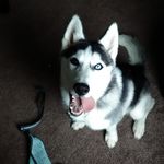 Chase Powers - @chase.powers.509 - Instagram