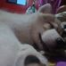 Chase Ramirez - Facebook