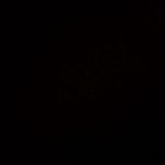 Chase - @chase_rasmussen_2 - Instagram