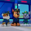 Chase 🐾 (Sreach & Rescue 02 ) - @chase_sreachandrescue - TikTok