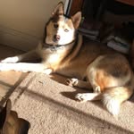 Chase Ruperti - @chase_ruperti - Instagram