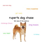 RUPERT'S DOG CHASE🐺 - @rupertsdogchase - Instagram