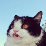 Simon Chase - @chasesimon - Instagram