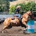 Chase Templeton - Facebook