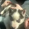 Tyson Chase - @tyson_chase - TikTok