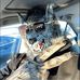 Chase Ganske - Facebook