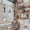 𝐧𝐨𝐫𝐚 - @urbanchase - TikTok