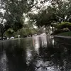 chasevas - @chasevas - TikTok