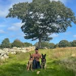 Alexander Hamilton - @vineyard_chase - Instagram