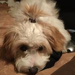 Chase_Vogel - @chasecoleman6969 - Instagram