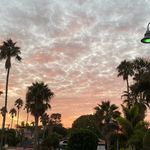 Nicholas chase vogelzang - @nicholaschasevogelzang - Instagram