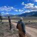 Chase Wade - Facebook