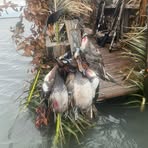 Chase Waggoner - Facebook