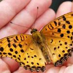 Chase Waldrop - @chasewaldrop25 - Instagram