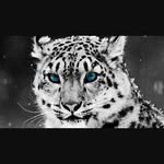chase walters - @chasewalters7001 - Instagram