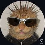 chase walters - @chase_walters_oms - Instagram