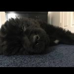 Chase Waters - @chasewaterslj - Instagram