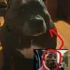 Chase Waters - @chase.waters0 - TikTok