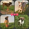 Chase, Waylen, Riley, and Beau - @chasewaylenrileybeau - TikTok