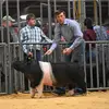 Chase Weaver - @chase_weaver_7 - TikTok