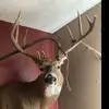 chase_weaver - @chase_weaver13 - TikTok
