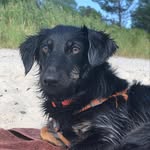 Chase - @chasetheweiner - Instagram