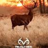 chasewhaley263 - @chasewhaley263 - TikTok