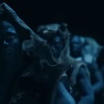 Chase Whitehead - @chase_tbm - Instagram