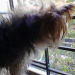 Chase Whitfield - @chase_playdog - Instagram