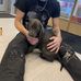 Chase Whitfield - Facebook